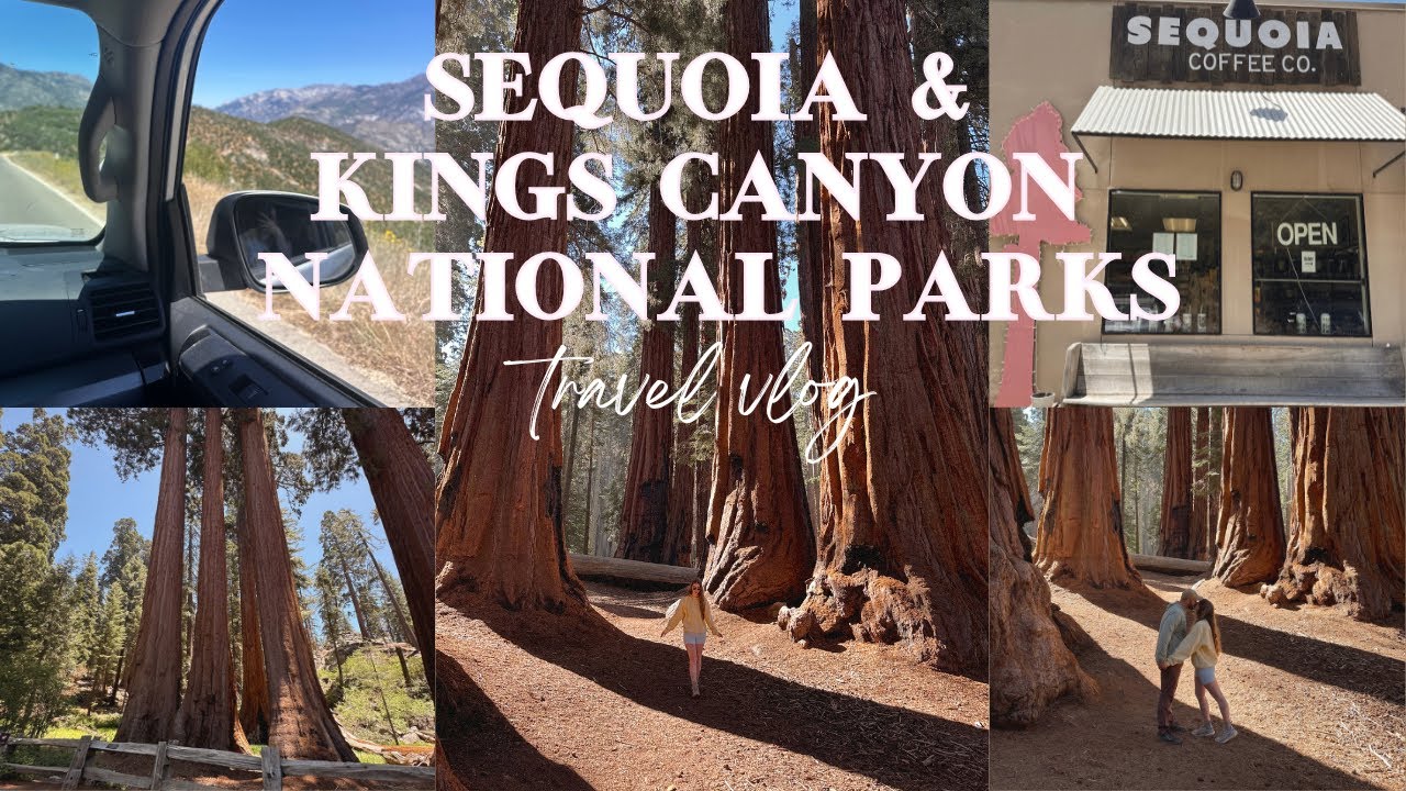 SEQUOIA + KINGS CANYON NATIONAL PARKS | Exploring the giant forest, scenic byways, & more!