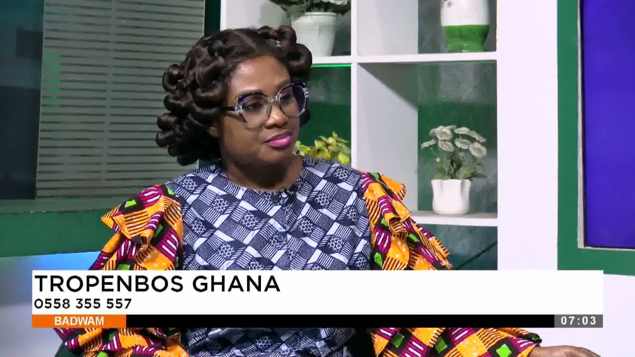 Tropenbos Ghana - Badwam Afisem on Adom TV (13-03-25)