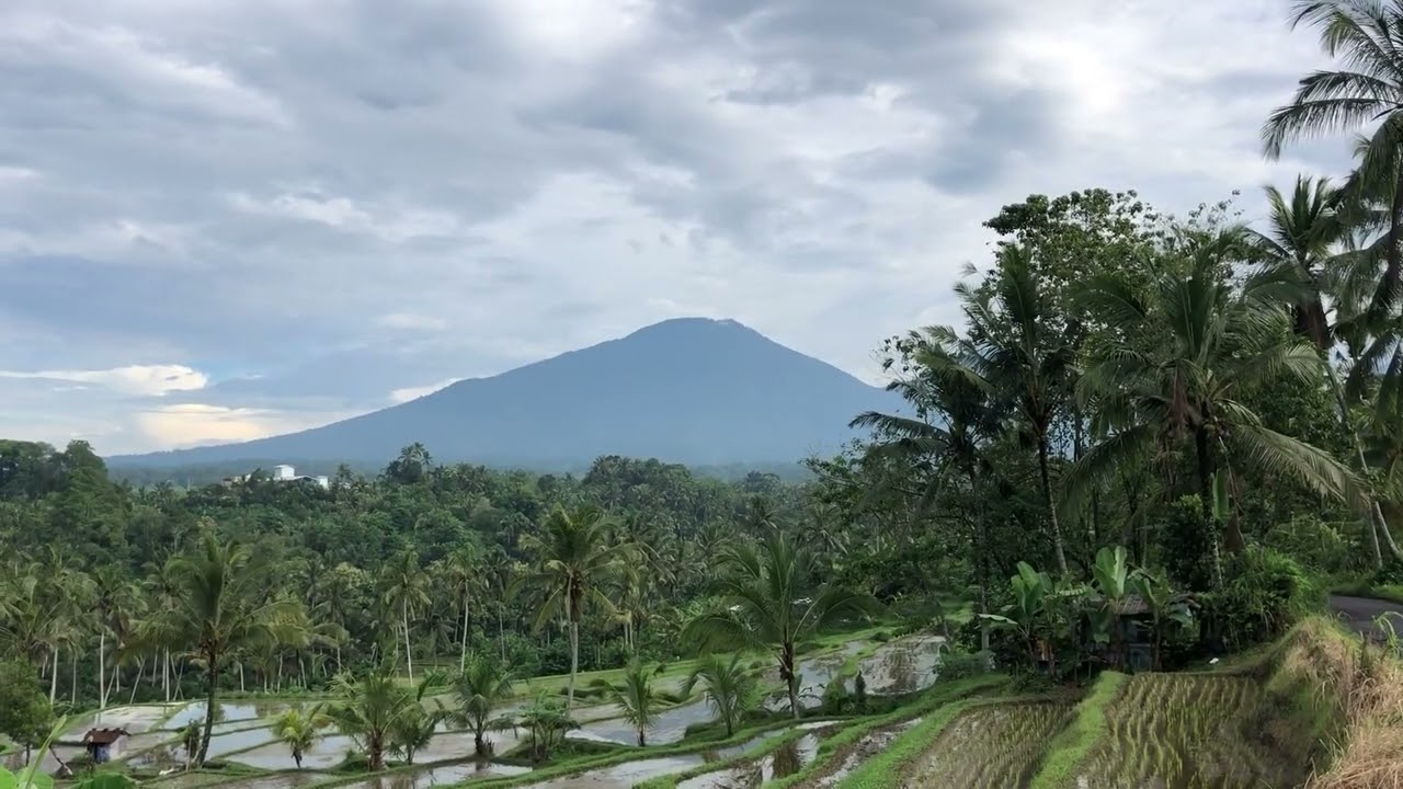 Bali pt1 #blessed #permaculture #balineseculture #silence #peopleandplaces #farming #simplelife