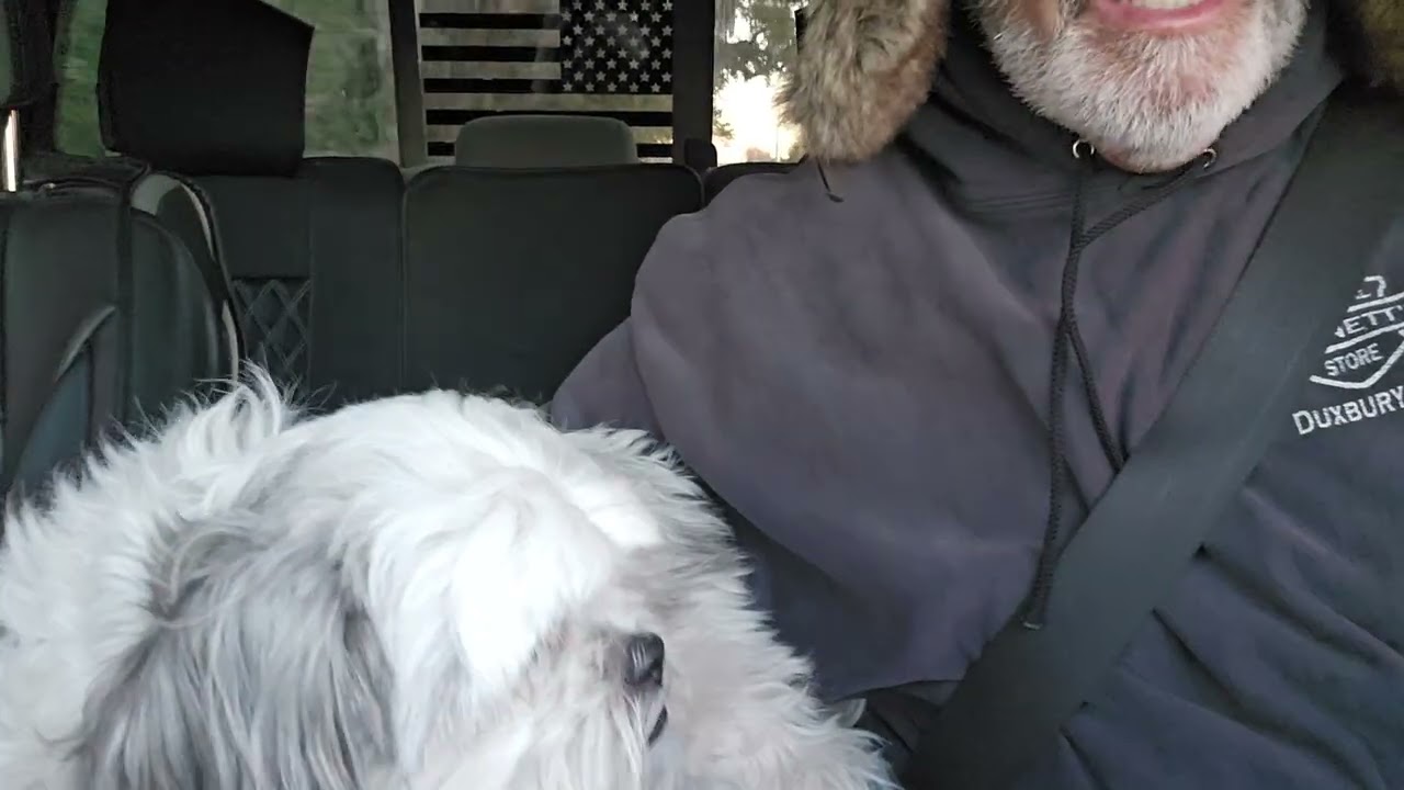 WICKED AWESOME WINSTON FREEZING IN FLORIDA