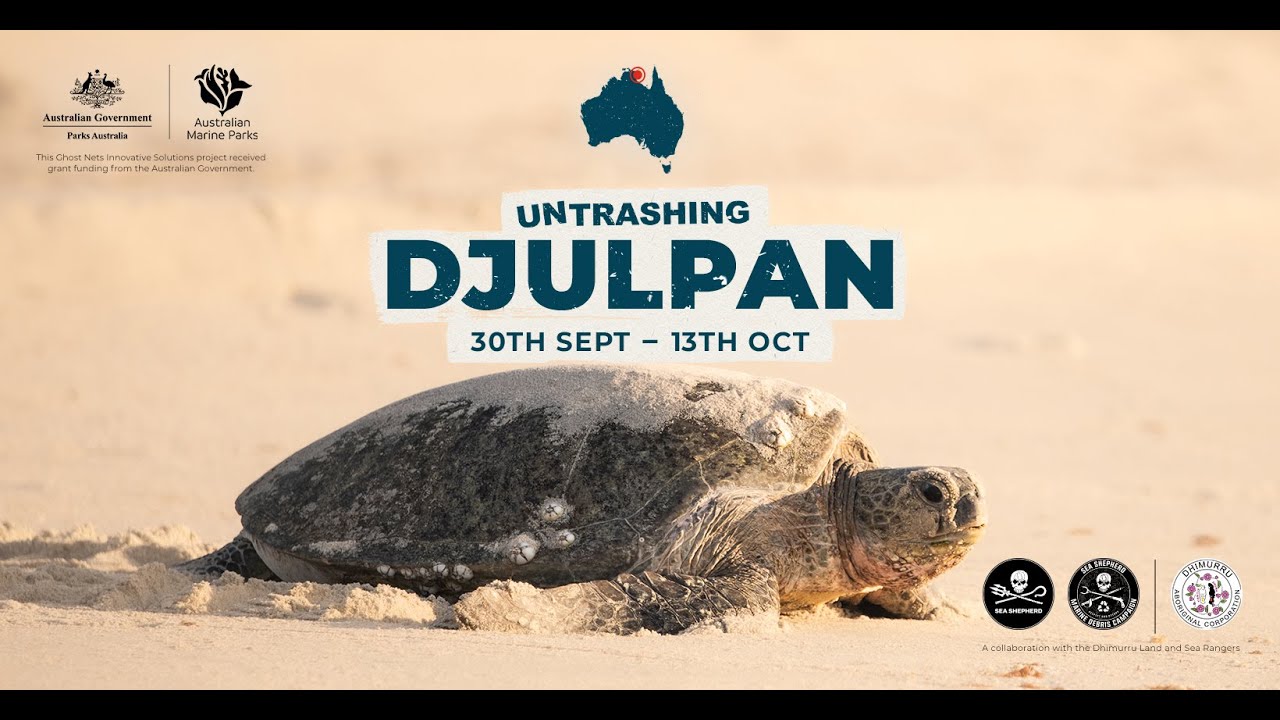 Untrashing Djulpan - The Miyapunu Fight