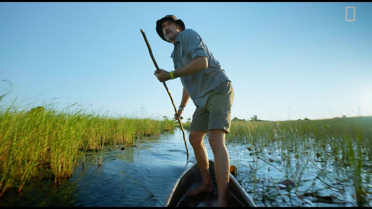 Steve Boyes traces life to its source in the Angolan Highlands