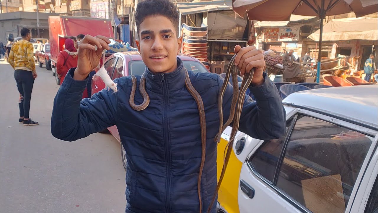 جوله في #سوق_الجمعة في #المحلة  (اشترينا حيوانات جديده😍)