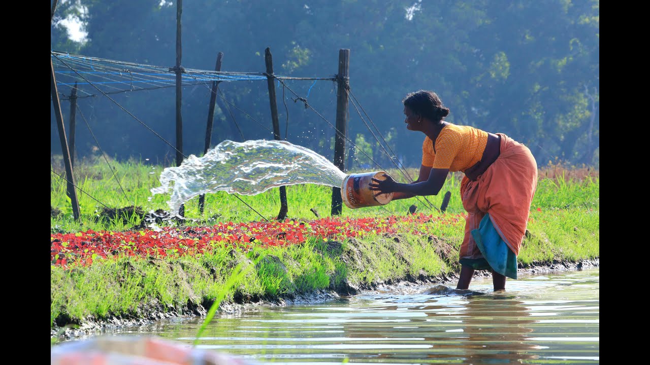 DCED Webinar: Achieving Economic, Climate and Gender Equity Goals through Nature-based Solutions