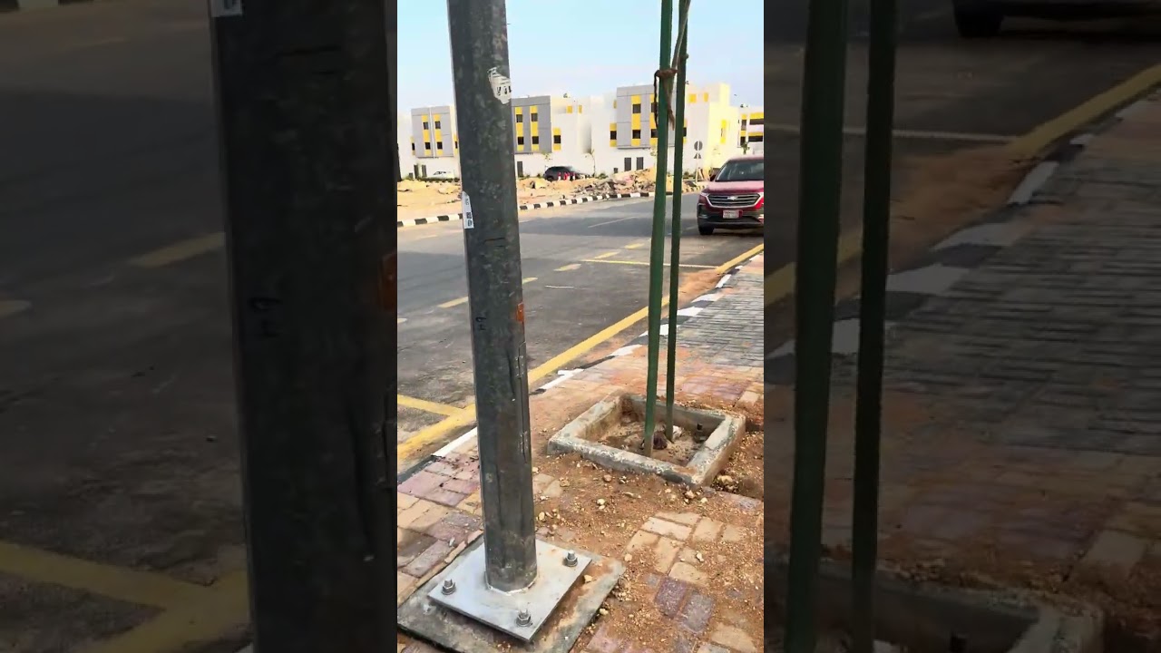 ٢٥ يناير، ٢٠٢٦