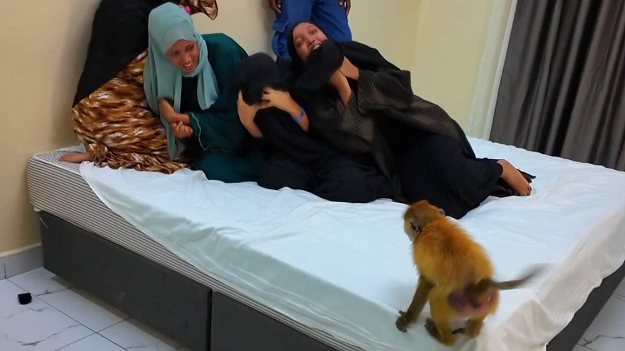 HAKA DEGIN SARIIRTA DAANYEER AYAAN UKEENAY QEYLO🙉😃