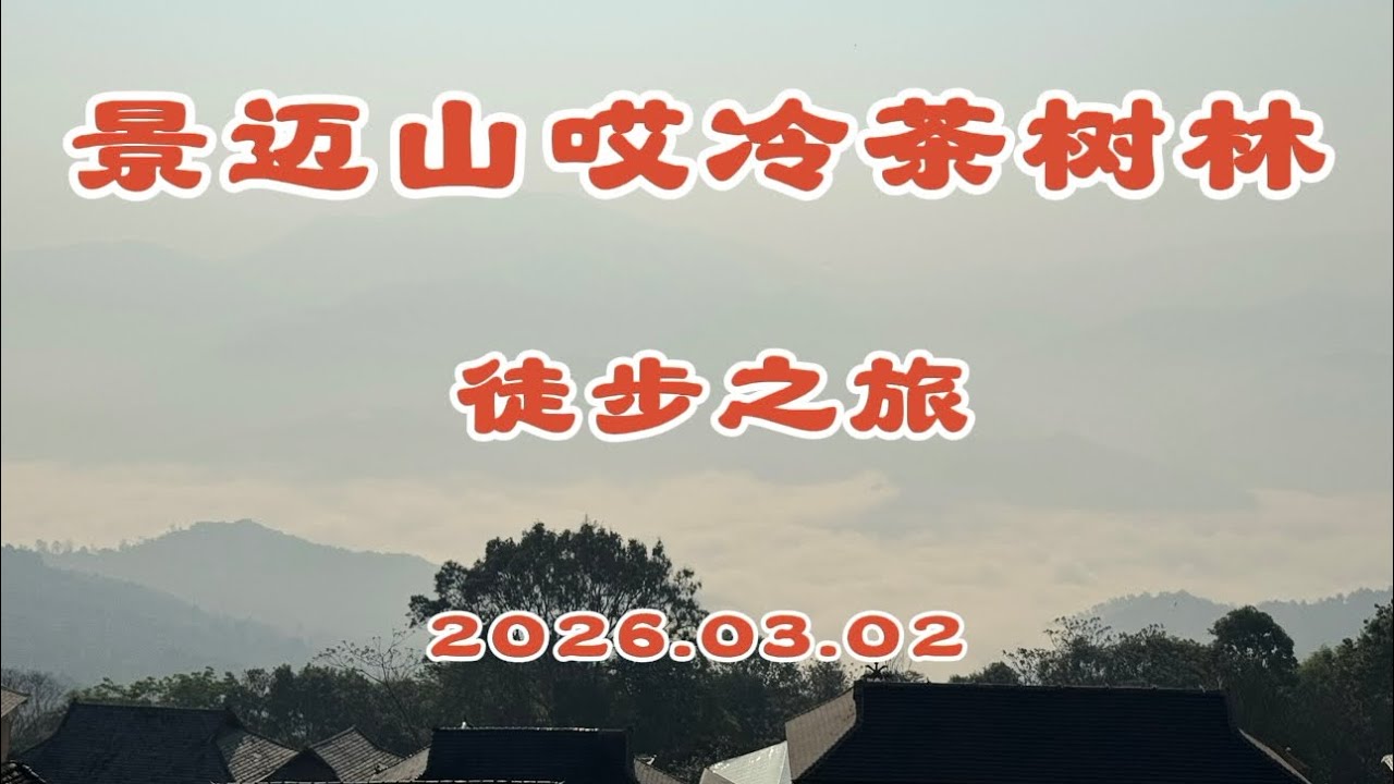 普洱之行之景迈山徒步～～全程8公里，里程不长，却仿佛走过了布朗族的千年～～帕哎冷、哎冷山茶树林、布朗族习俗、蜂王树、敬畏与共生、茶魂树、茶神台、七公主～～