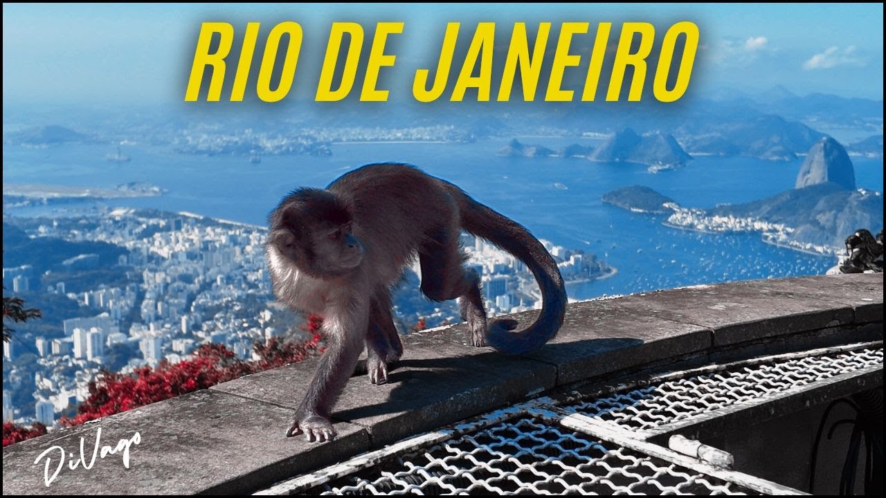MACACOS Y UN CRISTO REDENTOR en CORCOVADO RIO DE JANEIRO, BRASIL