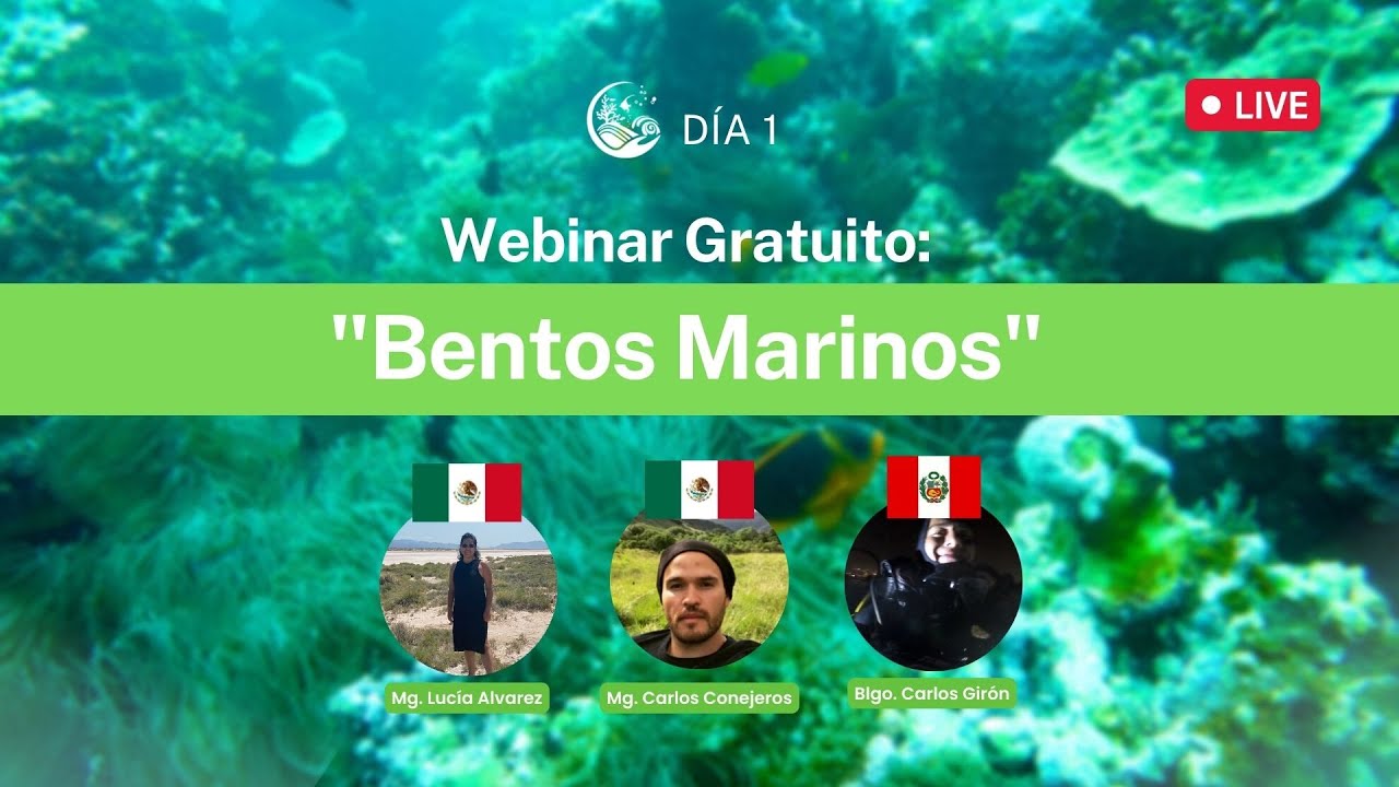WEBINAR INTERNACIONAL DE BENTOS MARINOS