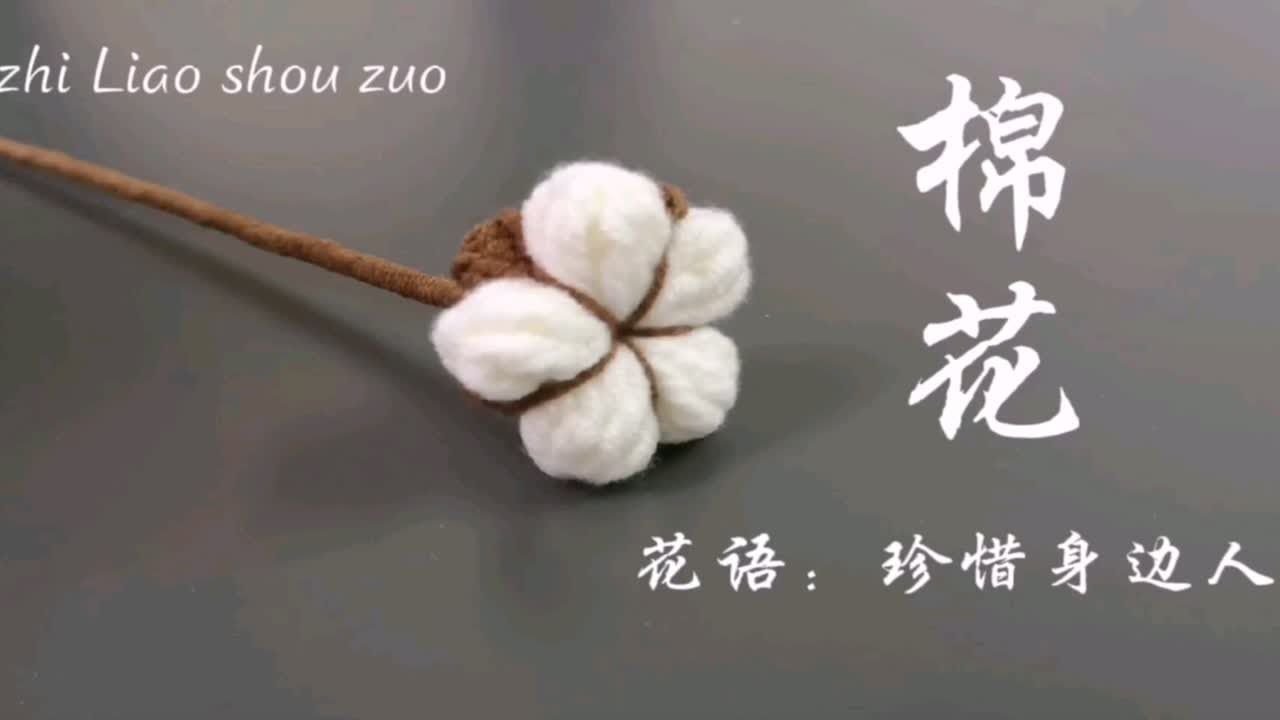 [知了手作]棉花钩针编织花束，花语：珍惜身边人 手工diy毛线钩织唯美仿真花