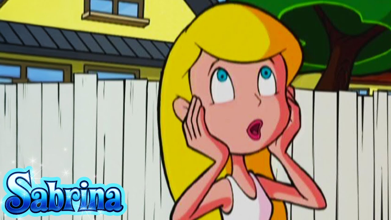 Le Chasseur de Sorcières | Sabrina L'Apprentie Sorcière - Wildbrain | Épisodes en Full HD
