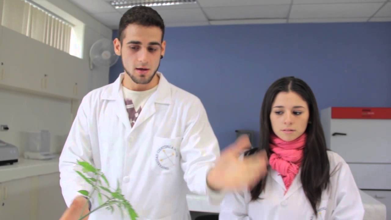 Ingeniería Ambiental - Episodio 14 - Qué Voy a Estudiar