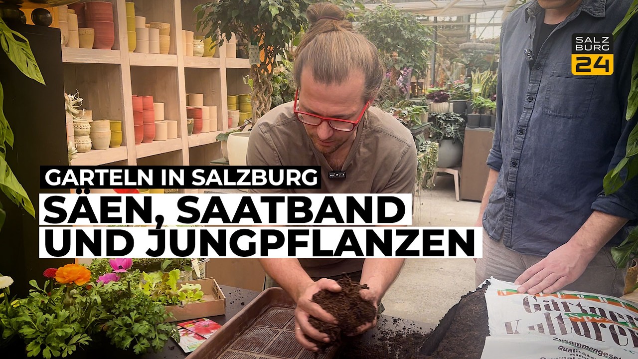 Garteln in Salzburg: Säen, Saatband und Jungpflanzen