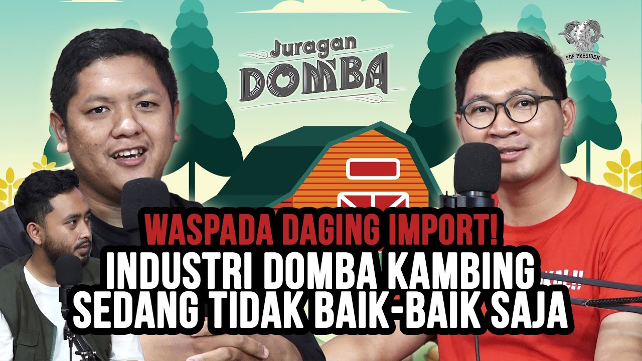 MEROSOTNYA HARGA DOMBA DAN KAMBING DALAM NEGERI, INI SEBABNYA!!! BERSAMA KANG NURYANTO (PART 2)