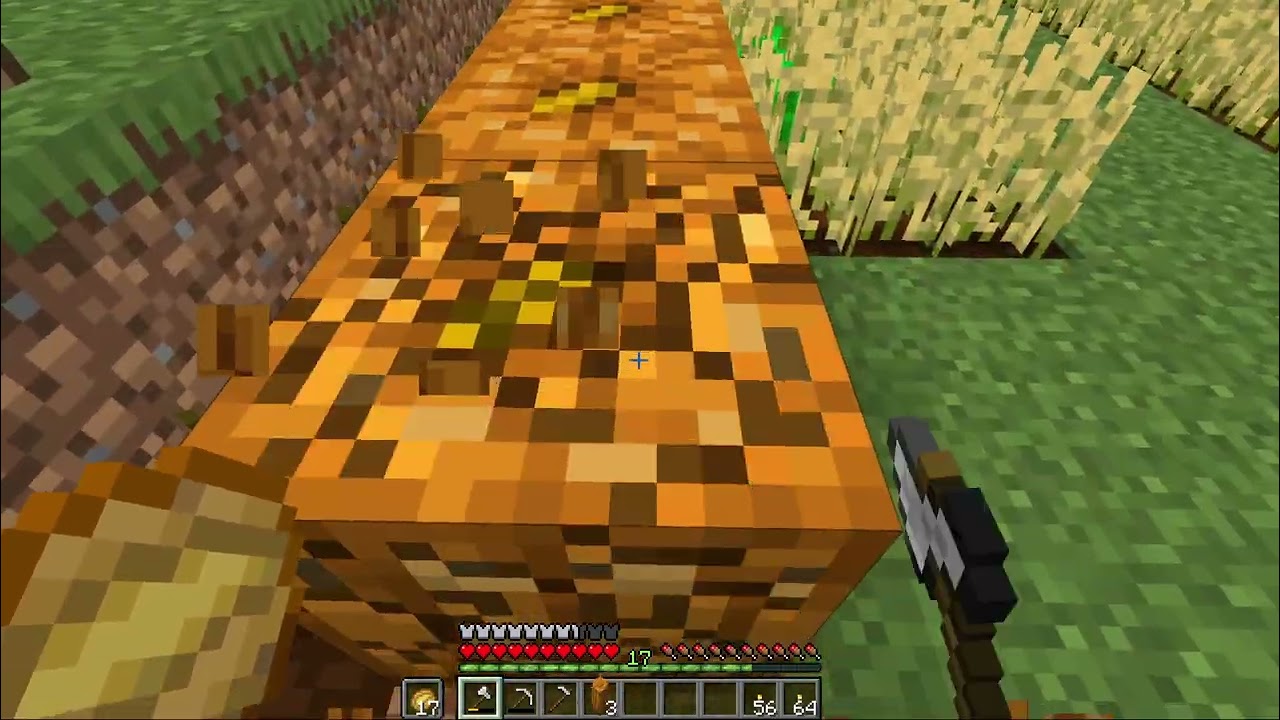 Returning to the Nether (also Update April 2026)