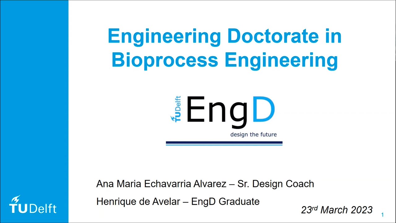 EngD BPE  - Design the Future | VIII SBE