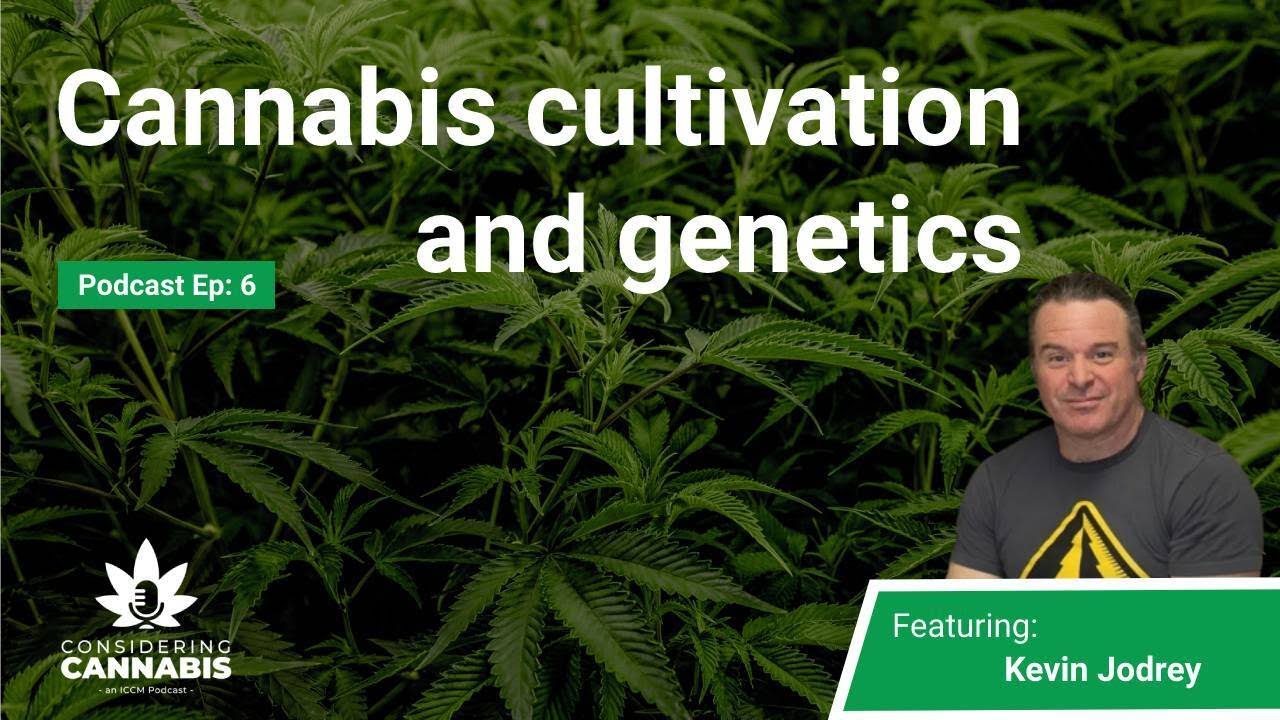 #6 Cannabis Cultivation & Genetics with Kevin Jodrey | Considering Cannabis Podcast