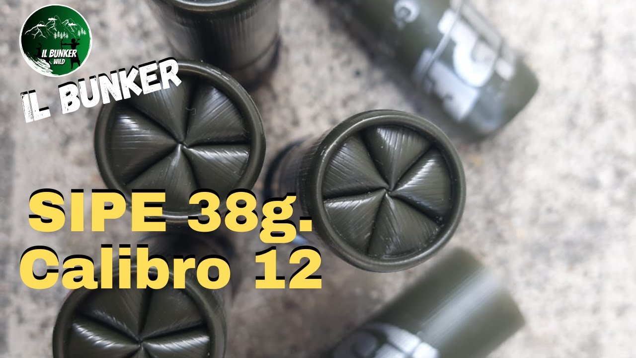 38 граммов с SIPE в 12 калибре (вторая часть)