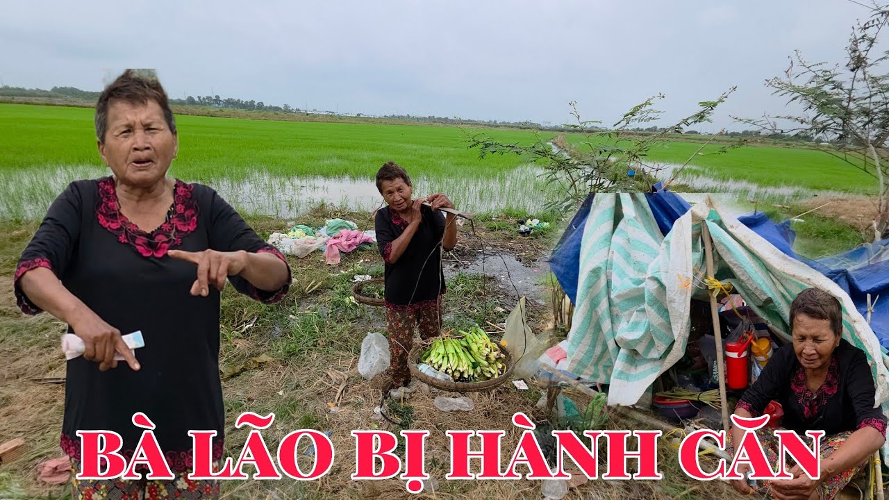 Bà Lão Lập Dị Nhà Cao Cửa Rộng Không Ở Bị Hành Căn Ra Bờ Ruộng Che Chòi Sống 