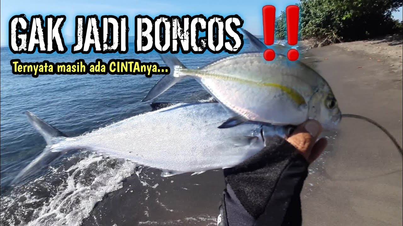 HAMPIR BONCOS ‼️ Coba pindah Spot, Akhirnya STRIKE juga || Mancing Pinggiran Banyuwangi.