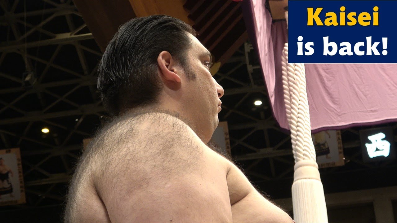 Brazilian-born Kaisei returns: The awesome ringside view