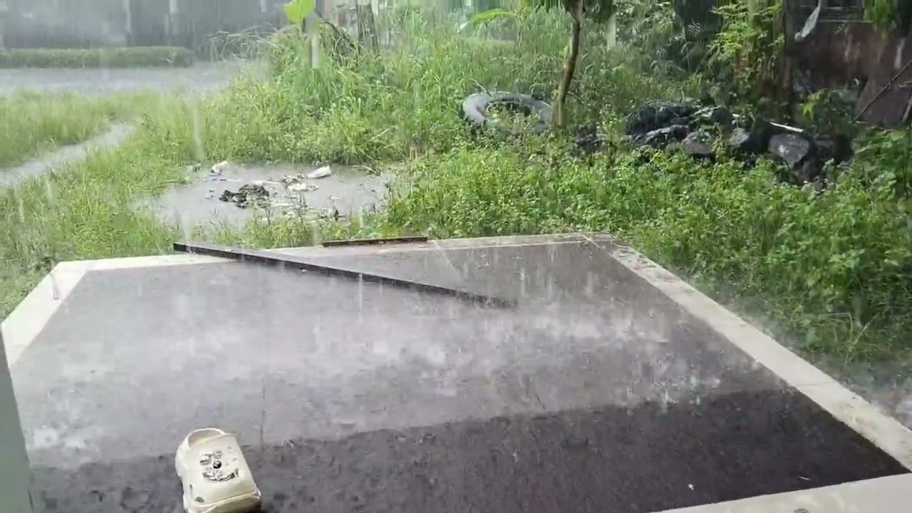 Cozy Rain Ambience: Relaxing Backyard Rain Sounds for Deep Sleep  