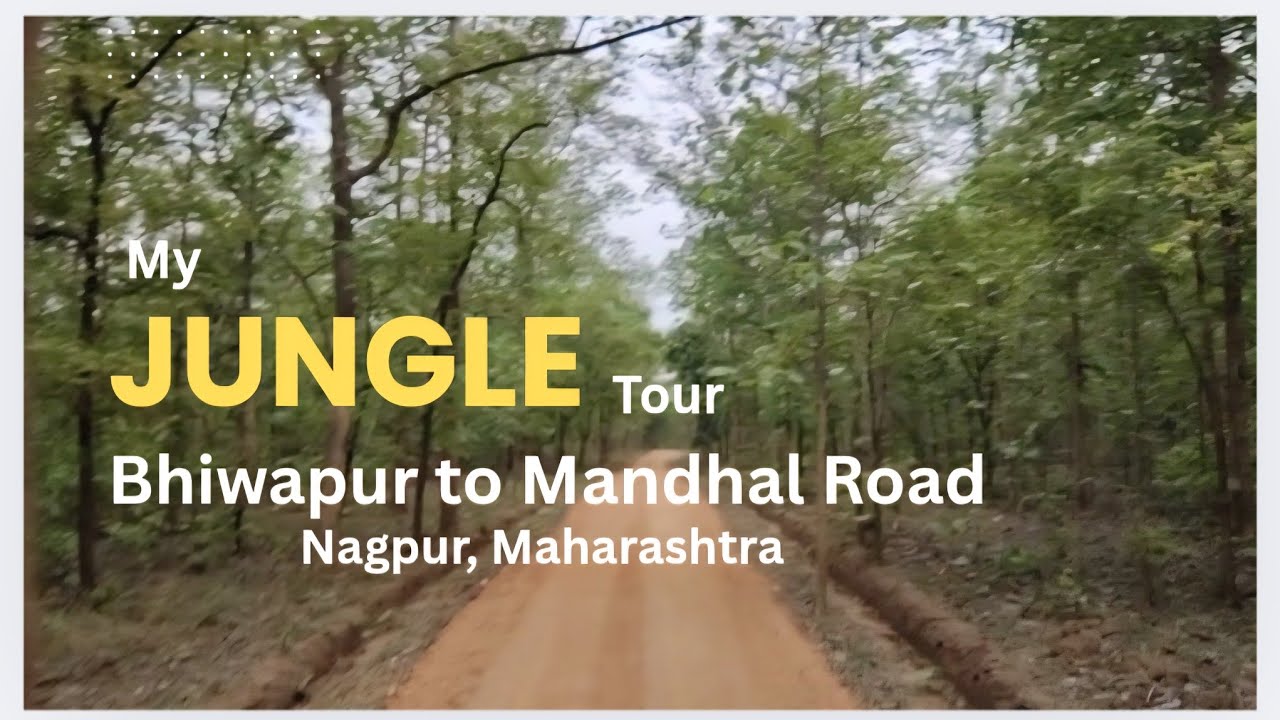 14 January 2026