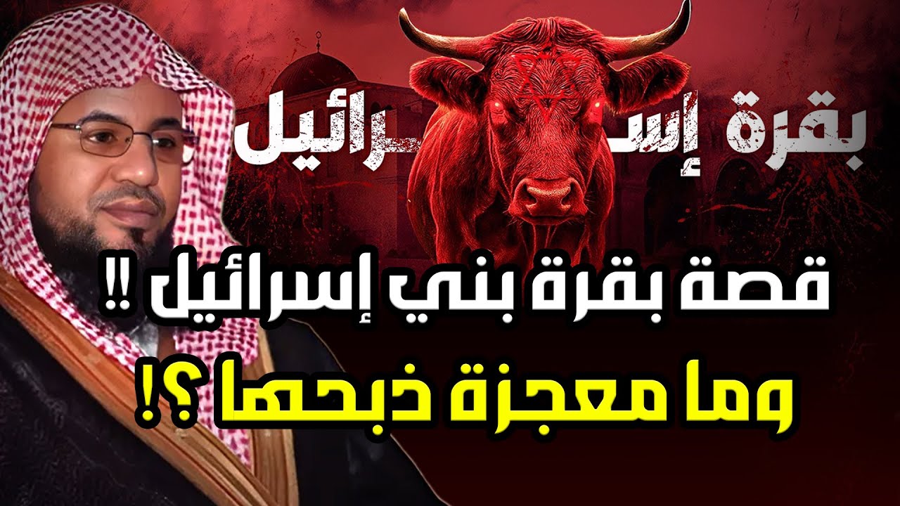 قصة بقرة بني إسرائيل مع سيدنا موسى ومعجزة ذبـ,حها لمعرفة القاتل - أعجب قصص بني إسرائيل