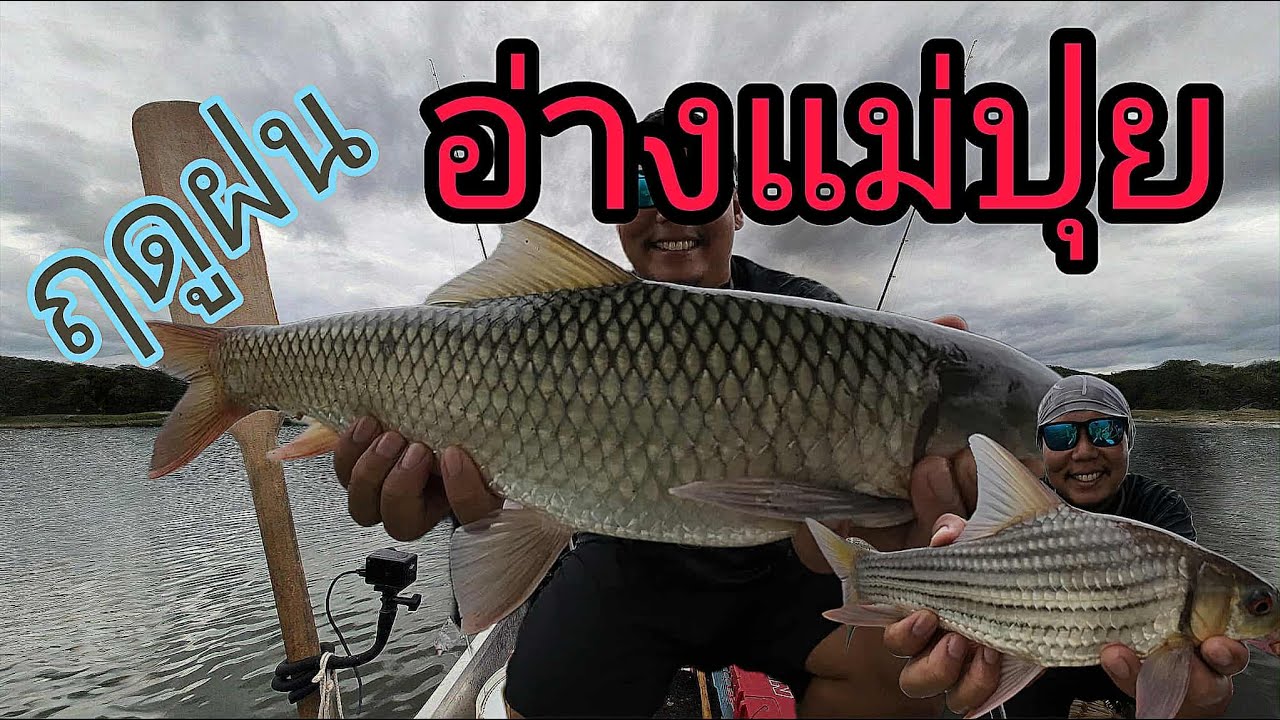 ตกปลาฤดูฝนอ่างเก็บน้ำแม่ปุย ตาก #โก๋เจ้าพระยา  #fishing #fish