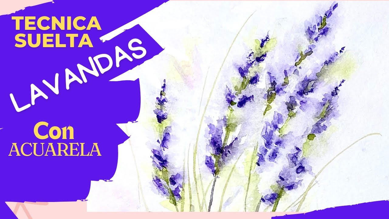 ACUARELA principiante, hermosas lavandas y técnica de DIFUMINADO