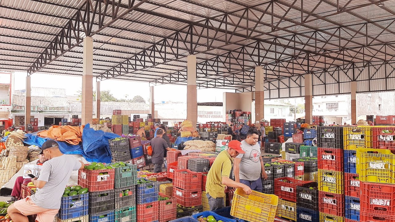 PREÇO DAS FRUTAS NA CEASA DE SAO BENEDITO CEARÁ 16/03/26