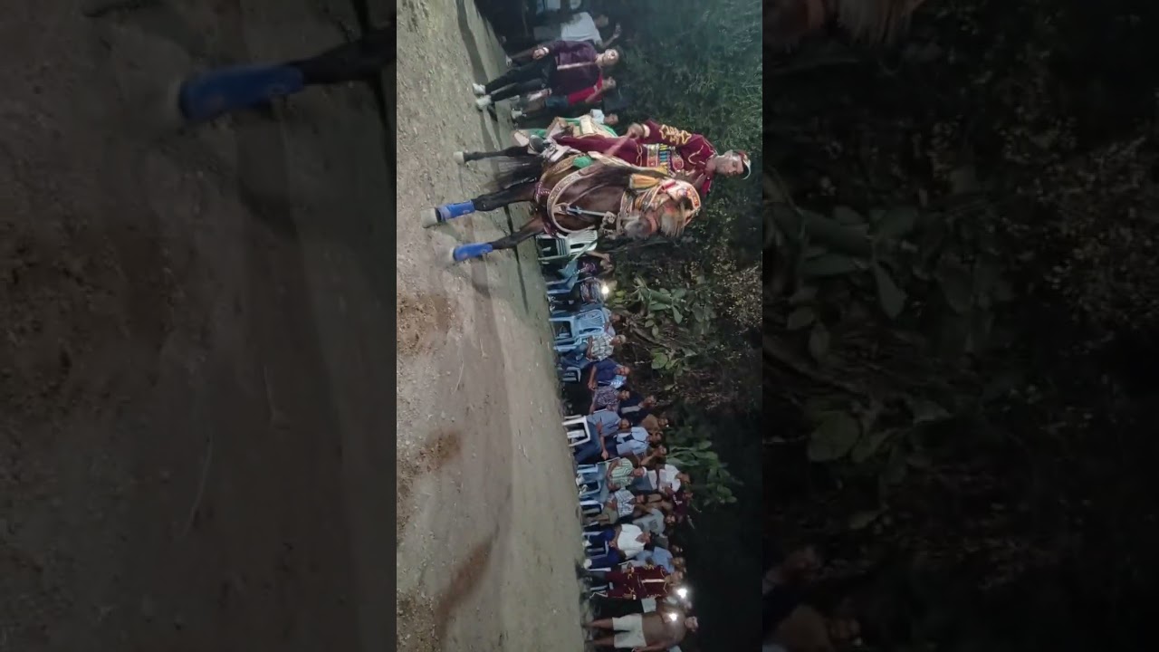 فرسان الشرشارة باجة 95062425