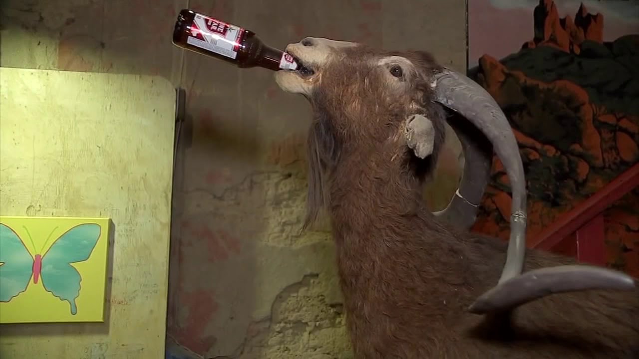 Texas Roadtrippers meet beer-drinking goat mayor