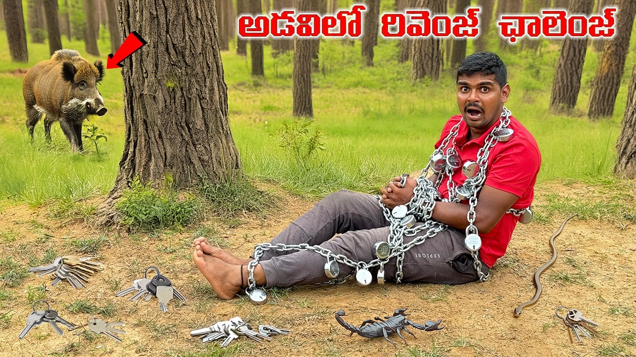 World's Hardest 50 Locks & Chain Escaping - Revenge Challenge 🔥🔥 Telugu Experiments