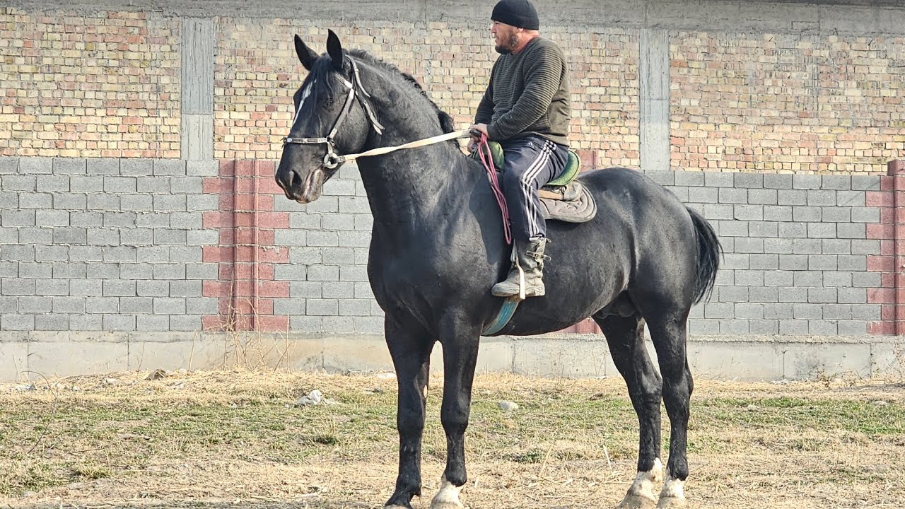 Курсант акенин аттары СПАРТАК МЕНЕН СЛАСКА