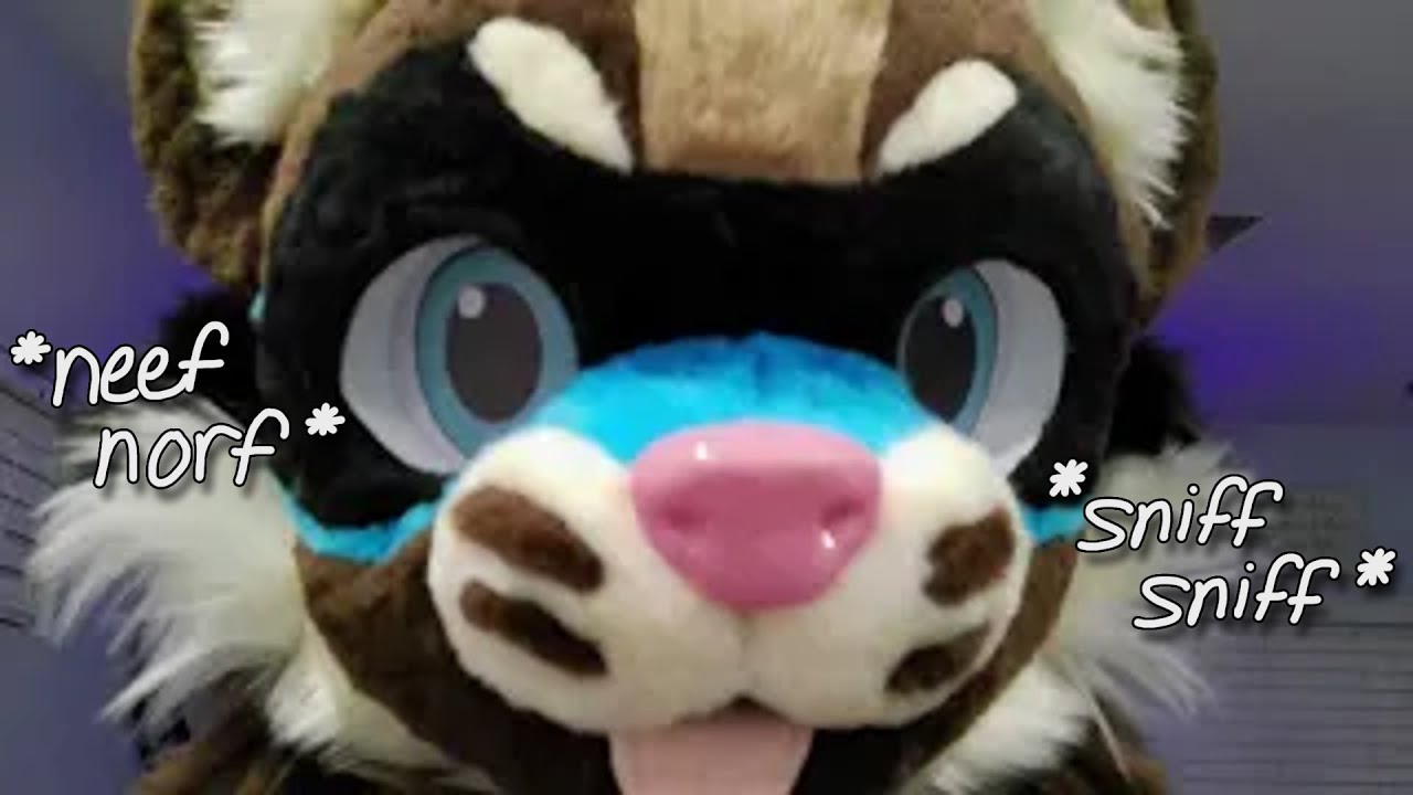 [ASMR] A Curious Ferret Sniffs You! (Fursuit ASMR :3)