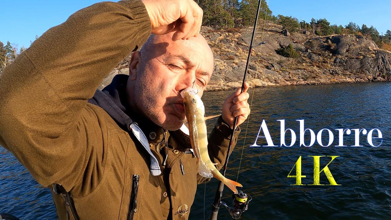 أدوات الصيد الأساسية لصيد سمك الشفشاون في السويد