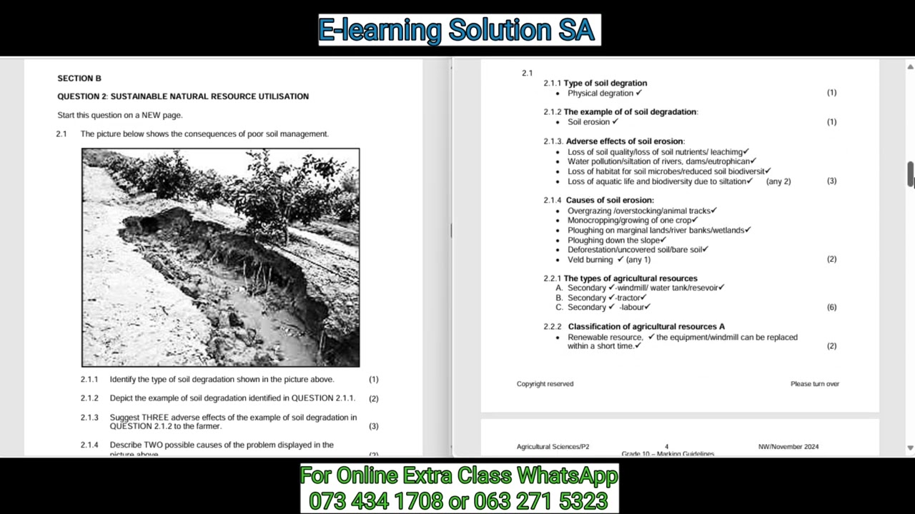 Grade 10 Agricultural Sciences Term 4 | Final Exam Paper 2 of 2025