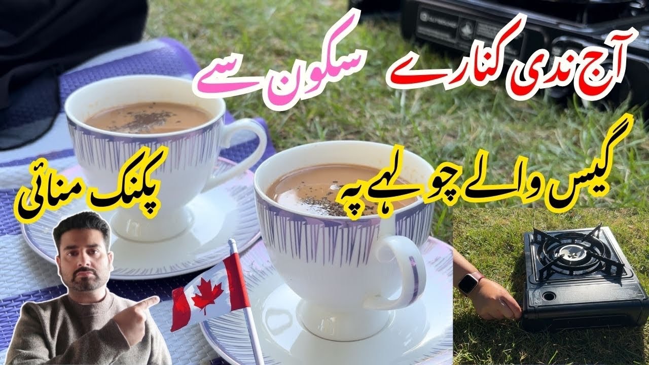 Beautiful Picnic by Lake Side in Canada | Overseas Pakistani Family in Canada