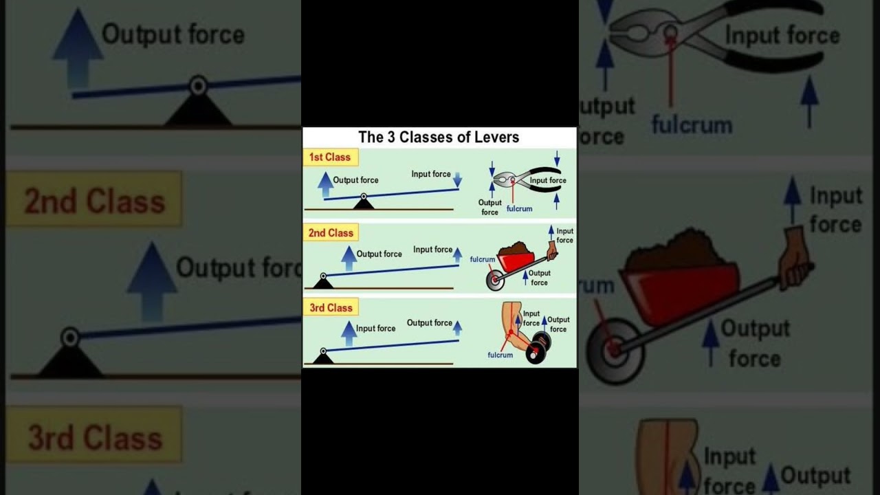 The 3 classes of Levers #levers