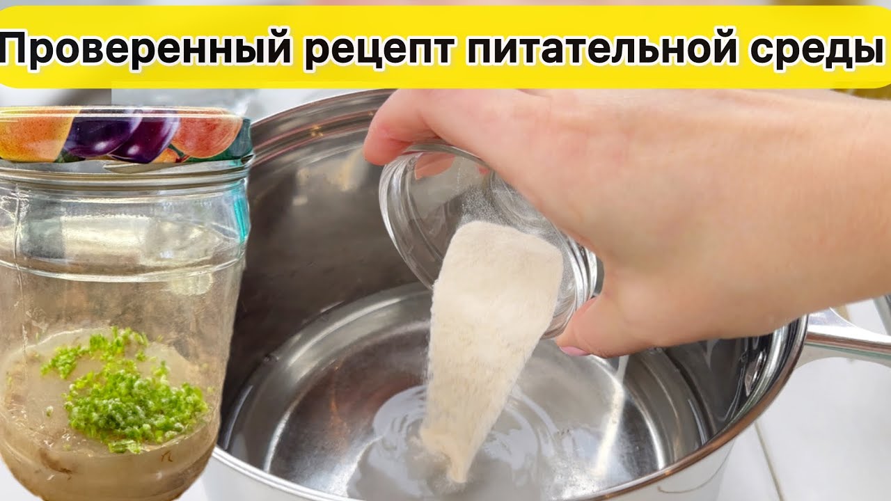 РЕЦЕПТ и приготовление Питательной Среды для посева семян орхидеи