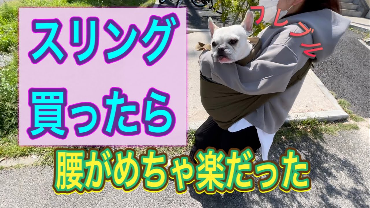 【腰が大事！】ペットスリング買ったら、腰がめっちゃ楽になりました