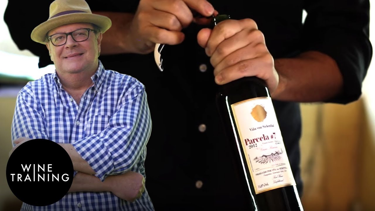 Chilean Wine - Aconcagua Valley | Wine Training School