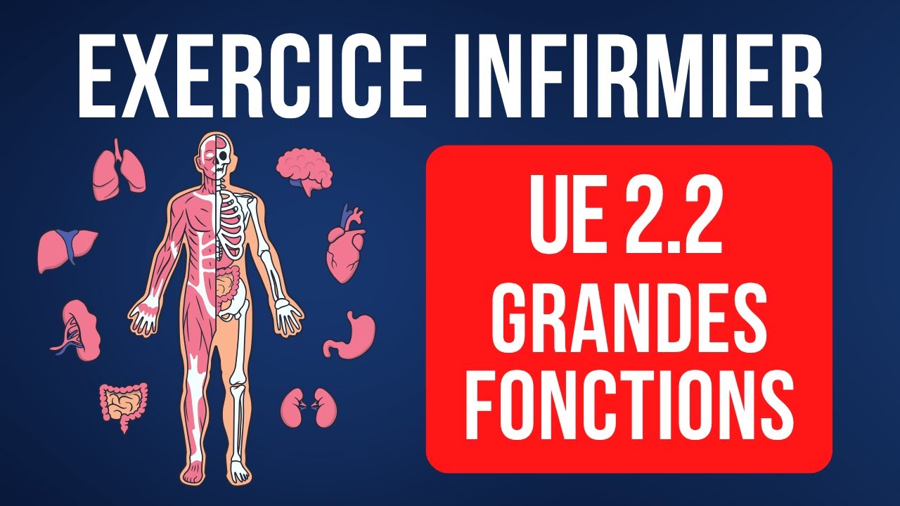 Révisions Partiel - UE 2.2 S1 - Cycle de la vie et Grandes fonctions