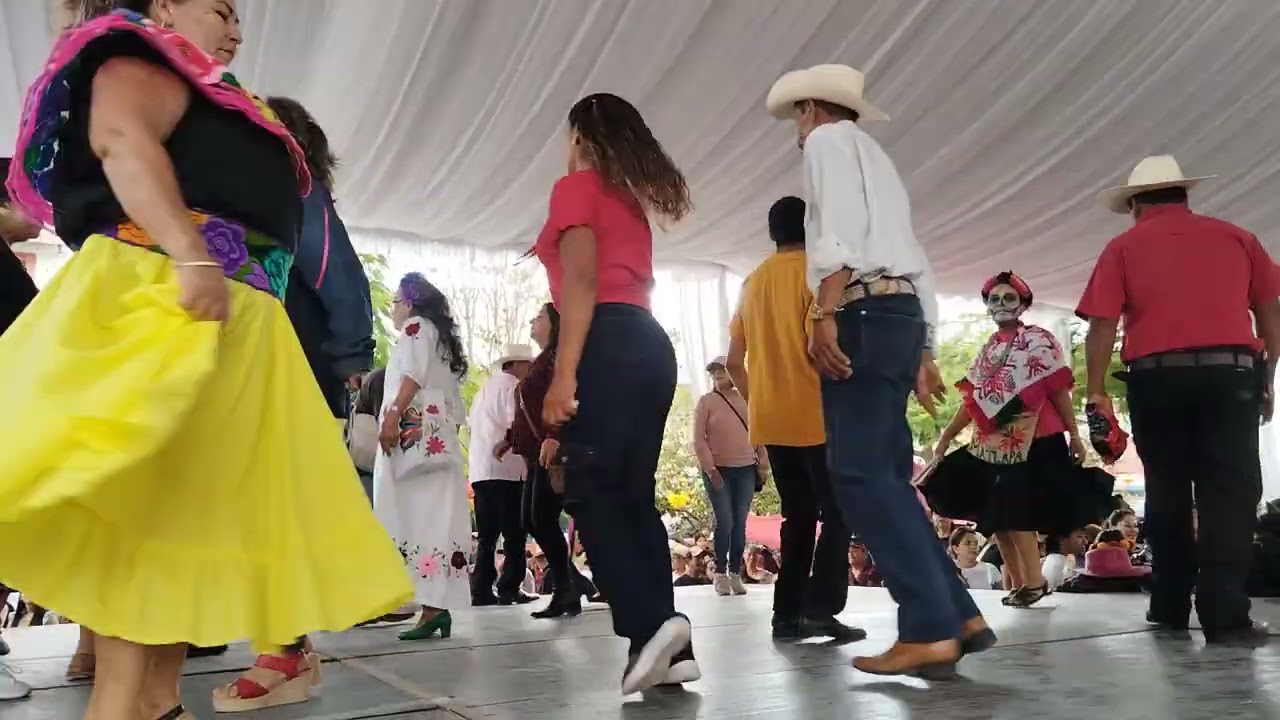 huapangos en Xilitla noviembre 2025