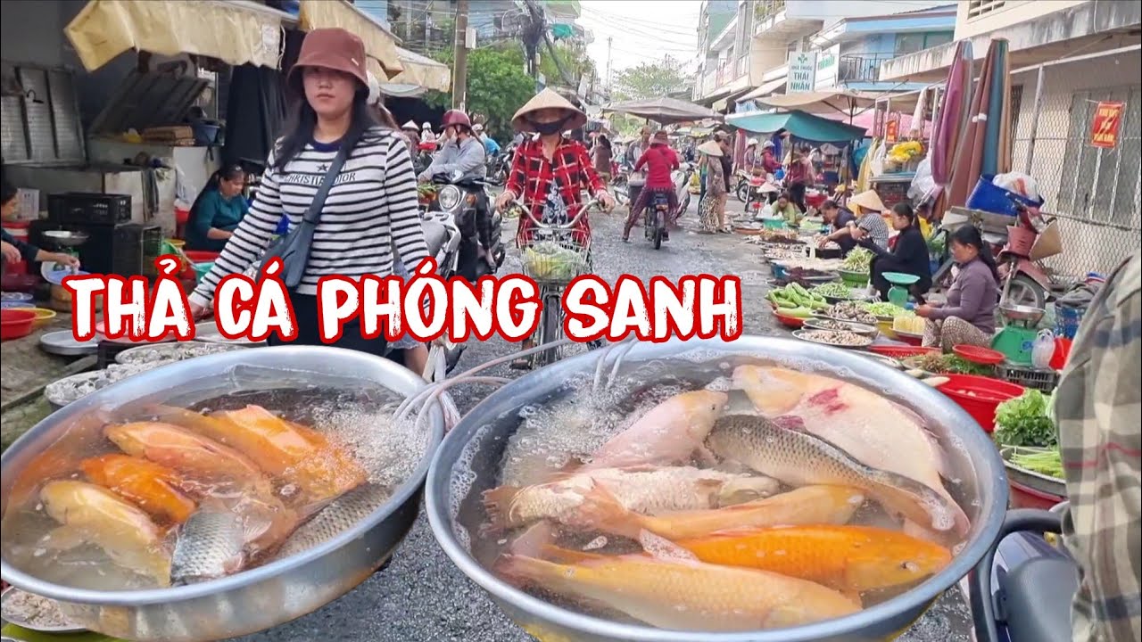 Anh Thanh chị Phương thả cá phóng sanh ngày mùng 1 tháng chạp 