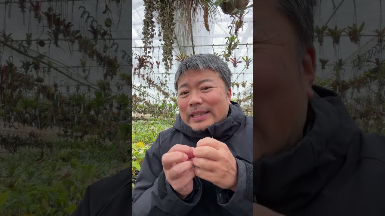 寒い