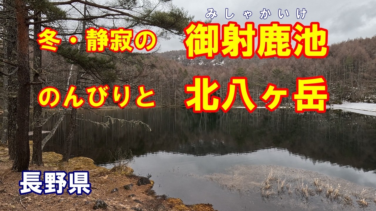 【長野県　蓼科】御射鹿池と北八ヶ岳の観光と冬景色