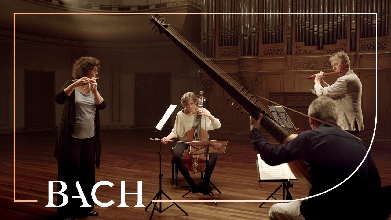Bach - Trio Sonata in G major BWV 1039 | Netherlands Bach Society