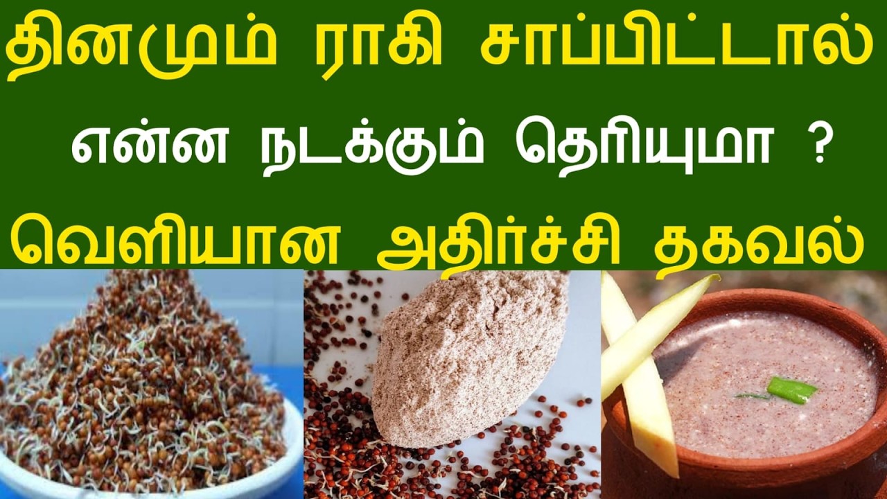 தினமும் ராகி சாப்பிட்டால் | என்ன நடக்கும் தெரியுமா ? வெளியான அதிர்ச்சி தகவல்